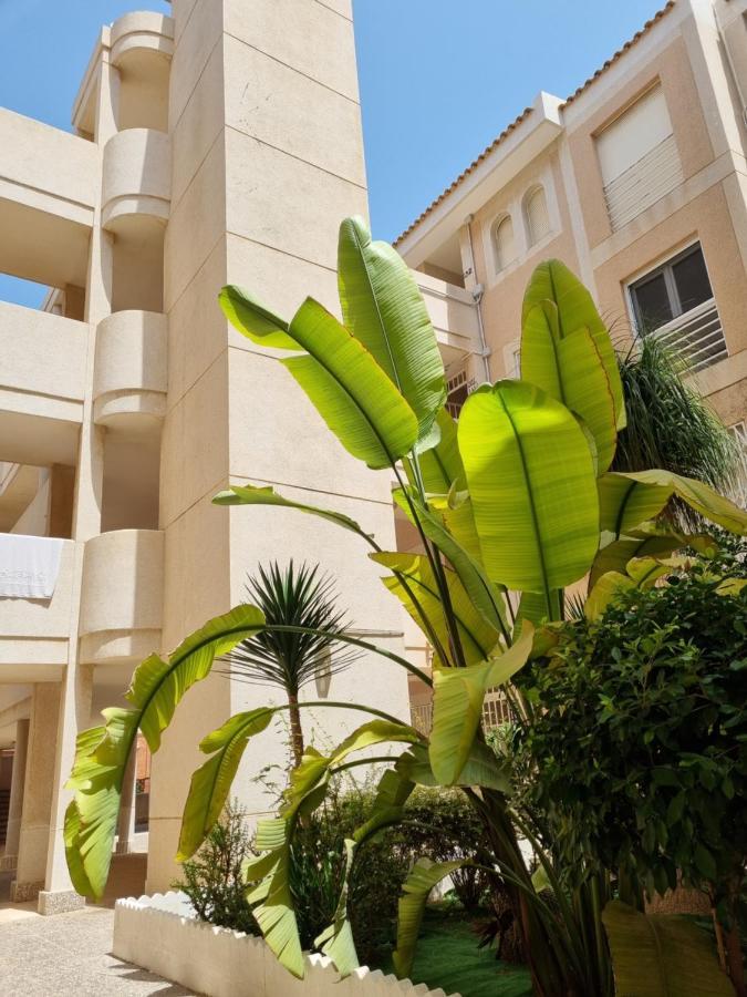 Flamenco Penthouse Sea View & Swimming Pool Torrevieja Exterior foto